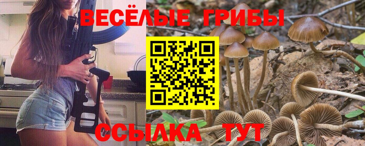Галлюциногенные грибы прущие грибы  Псилоцибиновые грибы мухоморы  Калининград  Вход с VPN 