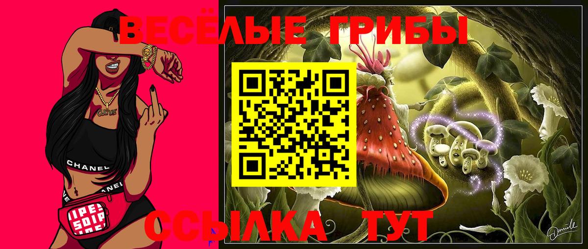 Галлюциногенные грибы Cubensis Калининград